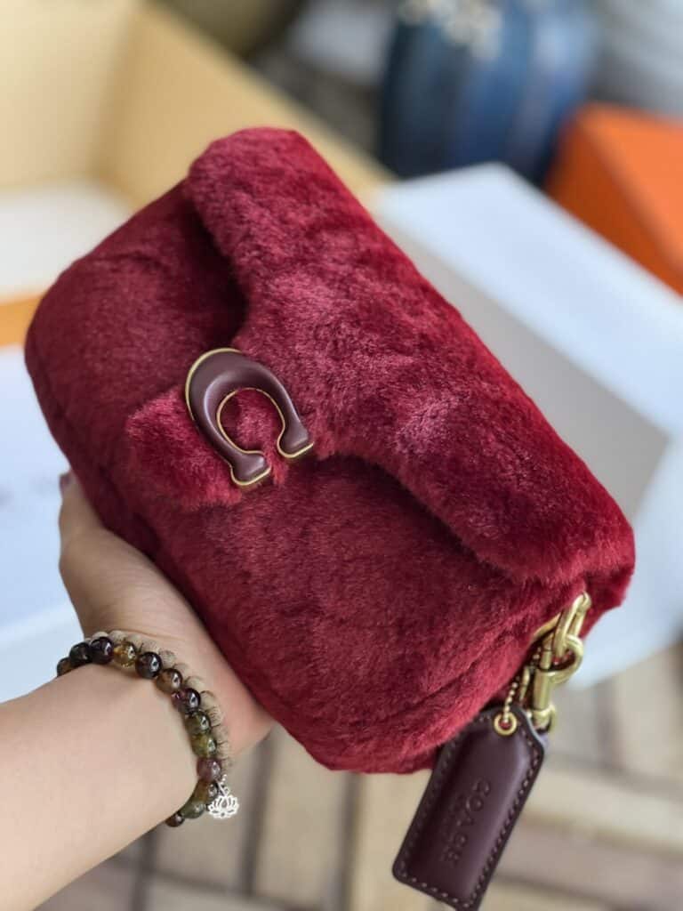 TÚI XÁCH NỮ THỜI TRANG COACH LÔNG MÀU PASTEL SANG CHẢNH CỰC HỢP PARTY CUỐI NĂM