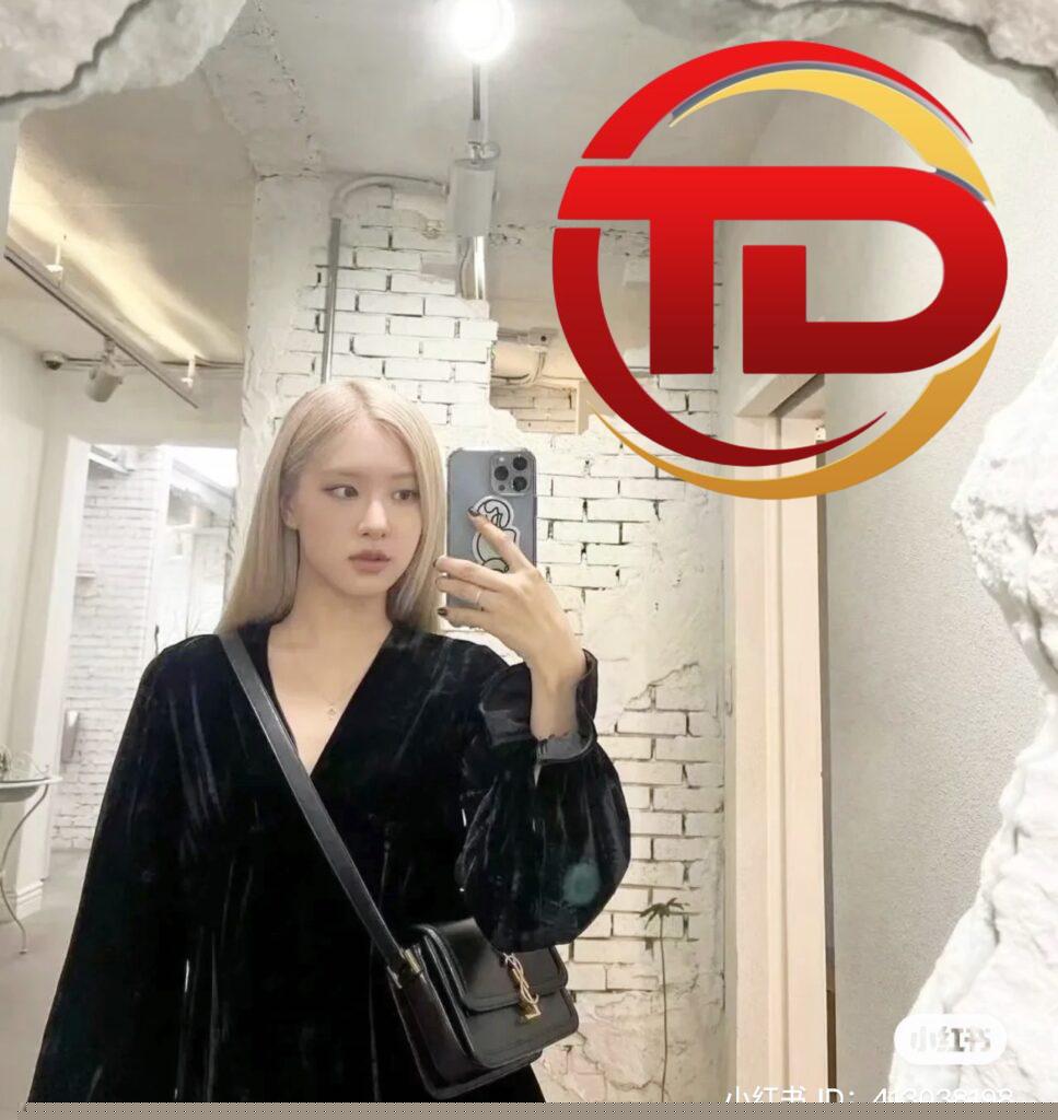 TÚI YSL SAINT LAURENT SOLFERINO SMALL SATCHEL NGUYÊN BẢN