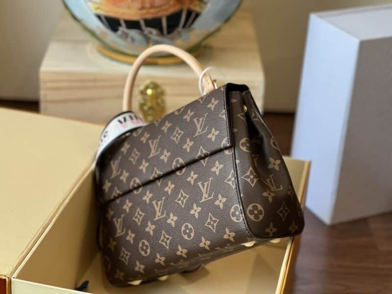 TÚI LV LOUIS VUITTON CLUNY BB MONOGRAM SUPER