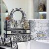 TÚI LADY DIOR MEDIUM SIZE D-LITE BAG WHITE AND BLACK PLAN DE PARIS EMBROIDERY