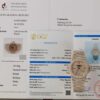 PATEK PHILIPPE NAUTILUS 5711 18K GOLD WRAPPED ICE OUT MOISSANITE BEST REPLICA 40MM
